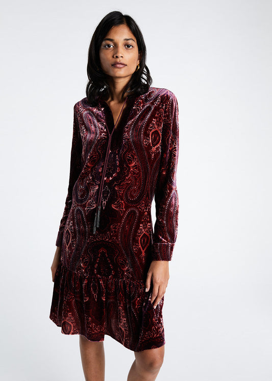 Frida printed velvet dress